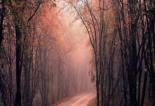 国足损失？曝林良铭因染红停赛3场+提前告别18强赛！亚足联或追罚.