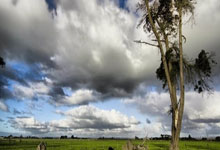 斯诺克赛程：19局10胜决出冠军，小特复仇战，囧.