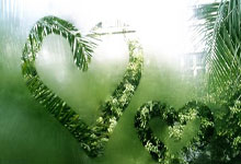 卡拉菲奥里：对踢中场一直很有热情 我对罗马没有怨恨.