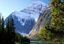 WTA1000印第安维尔斯站：止步女单八强 郑钦文0-2斯瓦泰克.