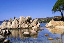 全国室内田径锦标赛谢震业男子60米夺冠.